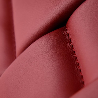 Red leather trim